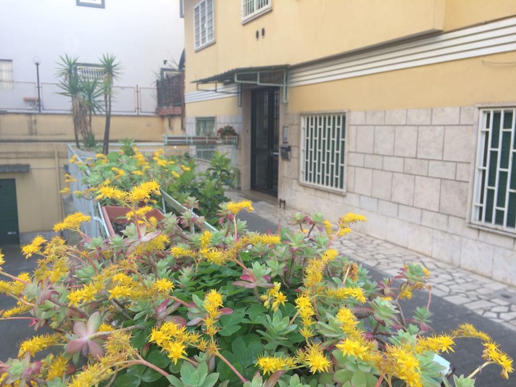 Casa Amelia Appartamento